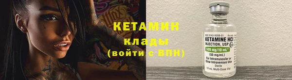 прущие грибы Покачи