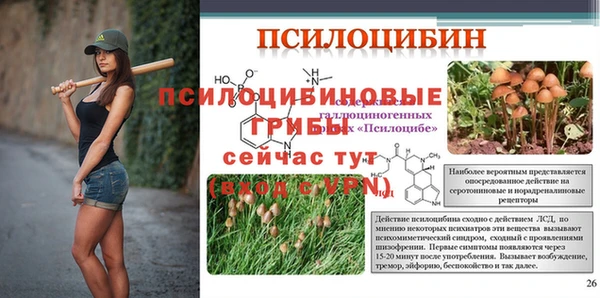 а пвп мука Аркадак
