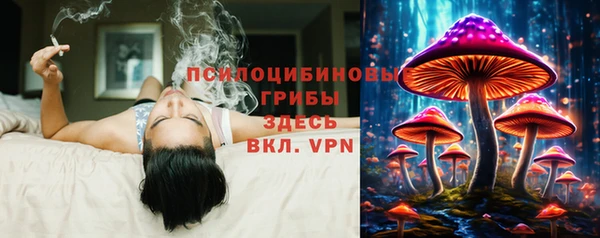 PSILOCYBIN Армянск