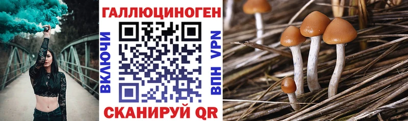 Галлюциногенные грибы мухоморы  купить наркоту  Усолье 